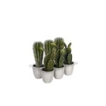 Cactus vert plante artificielle en pot h 22 x Ø 7 cm Cactus vert plante artificielle en pot h 22 x Ø 7 cm