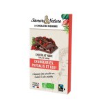 Chocolat noir sucre de fleur de coco, cranberries bio saveurs et nature - 100 g Chocolat noir sucre de fleur de coco, cranberries bio saveurs et nature - 100 g