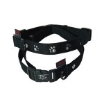 Collier chien 30 - 45cm noir forme pattes 16mm