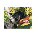 Collier chien 65cm double intervention 50mm Collier chien 65cm double intervention 50mm