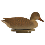 Colvert femelle 40 cm