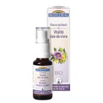Complexe n2 biofloral vitalit et joie de vivre en spray de 20 ml