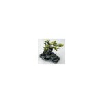Décor d'aquarium pierre bonsai coloris vert en résine de polyester - 16, 5 x 16, 5 x 18 Décor d'aquarium pierre bonsai coloris vert en résine de polyester - 16, 5 x 16, 5 x 18