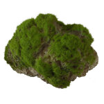 Décor d'aquarium pierre en mousse coloris vert résine de polyester taille l - 17 x 11 Décor d'aquarium pierre en mousse coloris vert résine de polyester taille l - 17 x 11