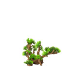 Dcor d'aquarium plantes flora scape 12 coloris vert en rsine de polyester - 33, 5 x