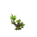Dcor d'aquarium plantes flora scape 4 coloris vert en rsine de polyester - 20, 5 x 1