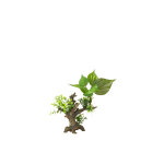 Dcor d'aquarium plantes flora scape 6 coloris vert en rsine de polyester - 14, 5 x 9