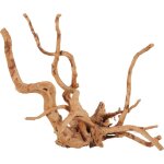 Décoration naturelle pour aquarium et terrarium coloris marron zolux racine araignée Décoration naturelle pour aquarium et terrarium coloris marron zolux racine araignée