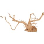 Décoration naturelle pour aquarium et terrarium coloris marron zolux racine araignée Décoration naturelle pour aquarium et terrarium coloris marron zolux racine araignée