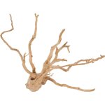 Décoration naturelle pour aquarium et terrarium coloris marron zolux racine araignée Décoration naturelle pour aquarium et terrarium coloris marron zolux racine araignée