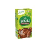 Dessert au soja saveur chocolat 530g
