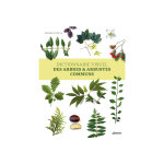 Dictionnaire visuel des arbres et arbustes communs aux �ditions ulmer - 320 pages