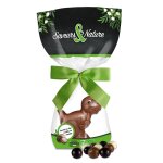Dinosaure en chocolat au lait bio saveurs et nature - 170 g