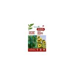 Duo de graines concombre vert long maraîcher et graines de tournesol (soleil unifloru Duo de graines concombre vert long maraîcher et graines de tournesol (soleil unifloru