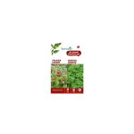 Duo de graines fraisier ruegen et de graines de cerfeuil commun botanic� - graines �