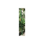 Eco tuteur 180 cm plastique couleur verte