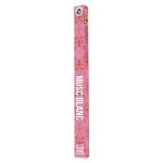 Encens d�couverte senteur musc blanc - 12 b�tons