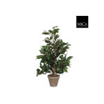 Ficus exotica vert plante artificielle en pot gris h 65 x Ø 40 cm Ficus exotica vert plante artificielle en pot gris h 65 x Ø 40 cm