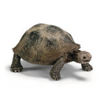 Figurine tortue gante srie animaux sauvages 8, 5x5, 5x4 cm