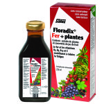 Floradix fer + plantes formule liquide 250 ml