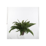 Fougre artificielle verte en pot gris h 42 x  50 cm