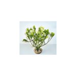 Fucus vert en plastique 15 cm Fucus vert en plastique 15 cm