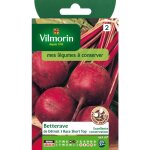 Graines de betterave de d�troit short top vilmorin - graines � semer