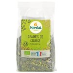 Graines de courge bio - sachet de 250 g Graines de courge bio - sachet de 250 g