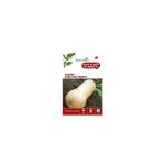 Graines de courge early butternut botanic® - graines à semer Graines de courge early butternut botanic® - graines à semer