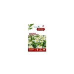Graines de grande marguerite blanche botanic - graines  semer