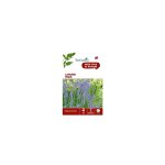 Graines de lavande varie botanic - graines  semer