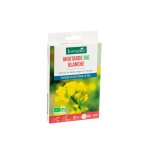 Graines de moutarde blanche bio botanic - graines  semer (10 m)