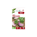 Graines de navet rouge plat htif  feuille entire bio botanic - graines  semer