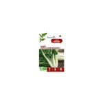 Graines de poire verte  carde blanche 3 bio botanic - graines  semer