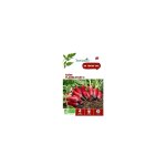 Graines de radis flamboyant 2 bio botanic - graines  semer
