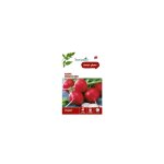 Graines de radis misato red botanic - graines  semer