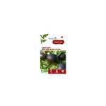 Graines de radis noir gros rond d'hiver bio botanic - graines  semer