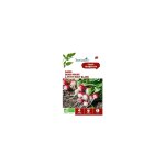 Graines de radis rond rouge  petit bout blanc bio botanic - graines  semer