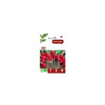 Graines de radis sora bio botanic - graines  semer