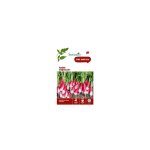 Graines de radis treto hf1 botanic - graines  semer