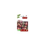 Graine de tomate black cherry bio botanic - graines  semer
