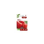 Graines de tomate c?ur de b?uf bio botanic� - graines � germer