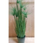 Graminée papyrus pot zinc 150 cm Graminée papyrus pot zinc 150 cm