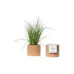 Grow cork de ciboulette bio 450 g