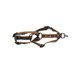 Harnais papillons 30 / 50 cm martin sellier