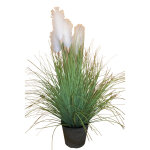 Herbe de la pampa pot zinc 180cm Herbe de la pampa pot zinc 180cm