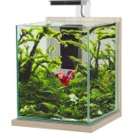 Kit aquarium jalaya xl coloris zebrano gris zolux - 25 x 25 x 30 cm