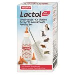 Kit biberon + 4 tétines et 1 goupillon pour animaux Kit biberon + 4 tétines et 1 goupillon pour animaux