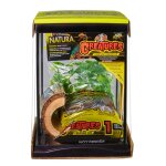 Kit complet pour vivarium coloris noir insectes cr�ature zoomed 22 x 21, 3 x 28 cm