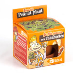 Kit graines de cacahuètes avec pot et coupelle terre cuite Ø8 cm (à partir de 3 ans) Kit graines de cacahuètes avec pot et coupelle terre cuite Ø8 cm (à partir de 3 ans)